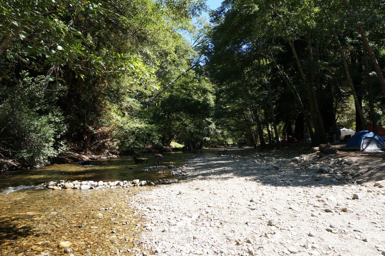 Riverside Campground & Cabins Μπιγκ Σερ Εξωτερικό φωτογραφία